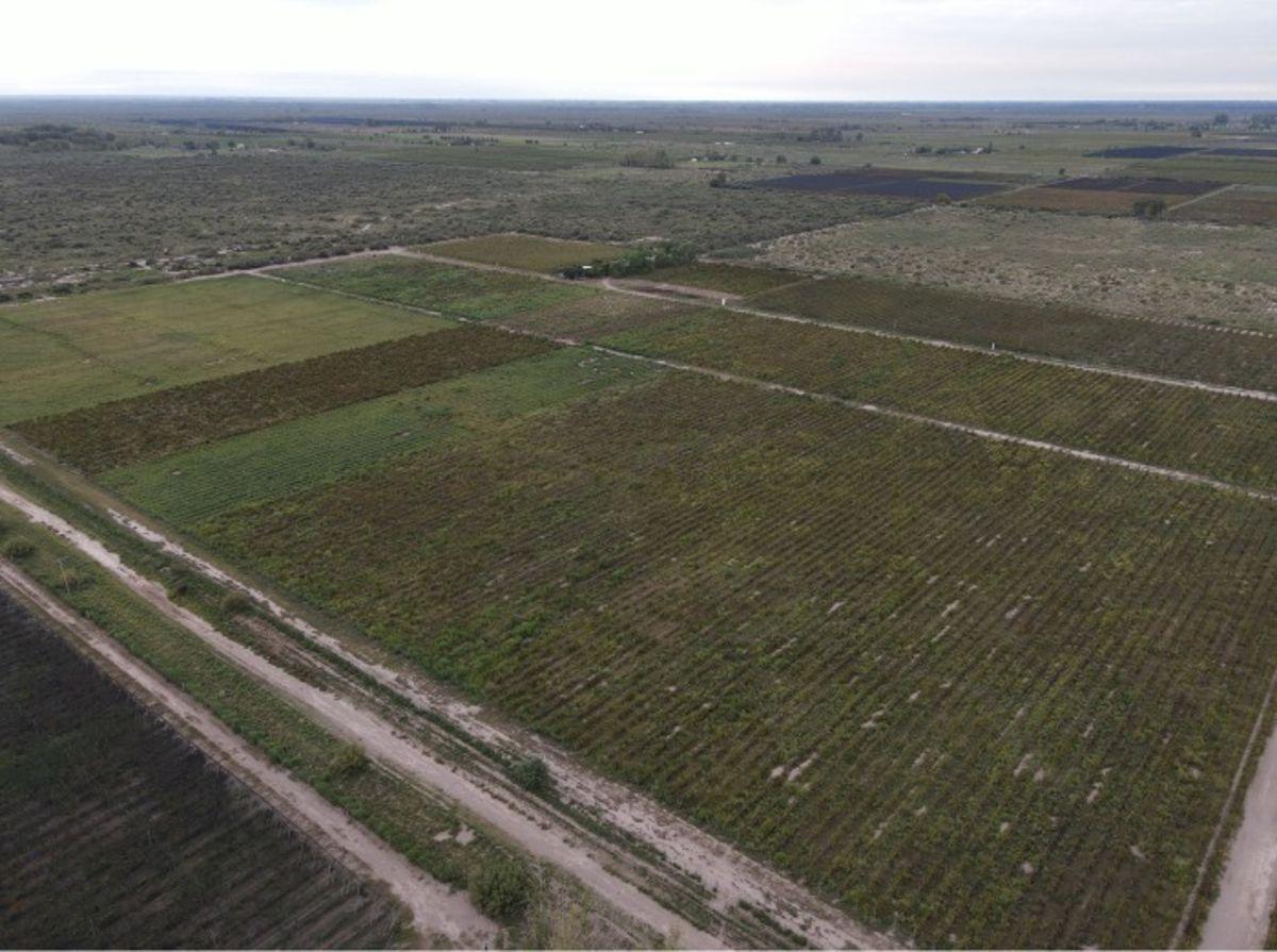 Foto de VENTA CONJUNTA DE 3 FINCAS CONTIGUAS QUE CONFORMAN UNA UNIDAD, imagen 3