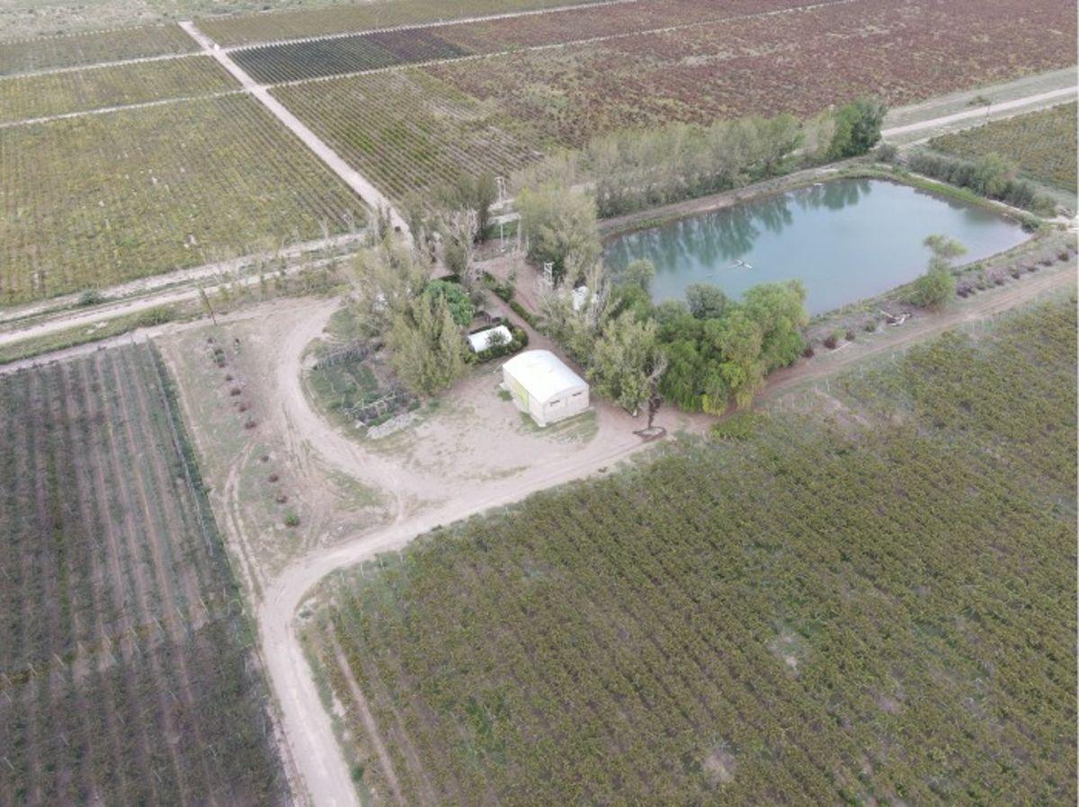 Foto de VENTA CONJUNTA DE 3 FINCAS CONTIGUAS QUE CONFORMAN UNA UNIDAD, imagen 1