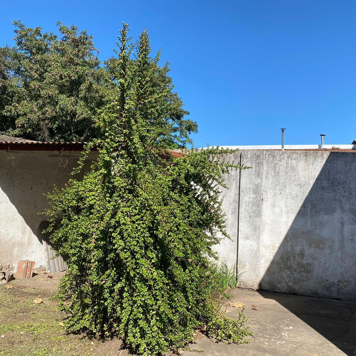 Casa en Venta 4