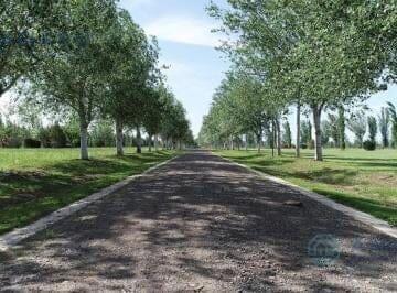 Foto de Terreno en Pinares del Sur - Piñero, imagen 4