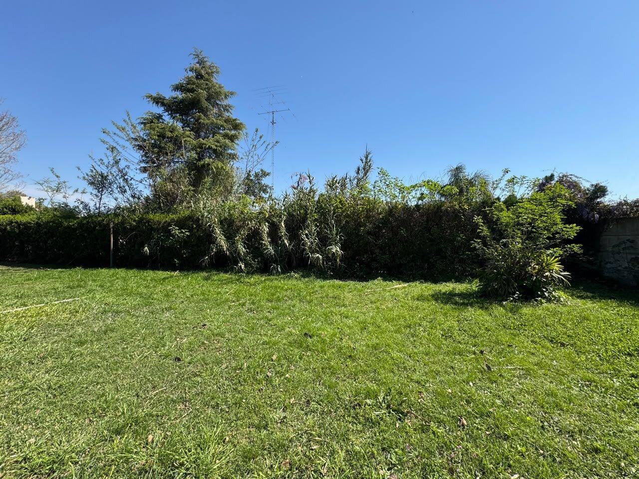 Foto de Terreno en Oliveros - Mitre 232, imagen 3