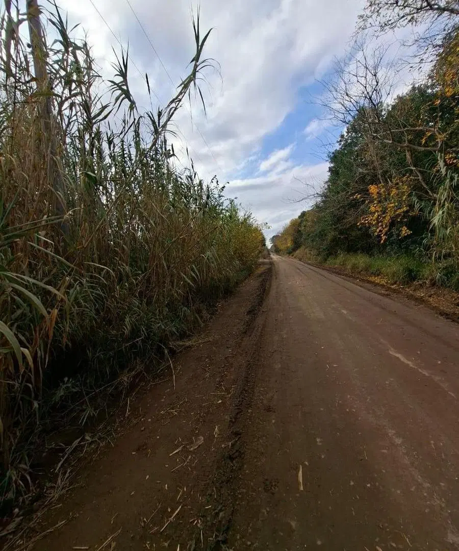 VDO 2,5 Has CAMPO C CASA Y GALPON 1500 MTS DE RUTA 9 4