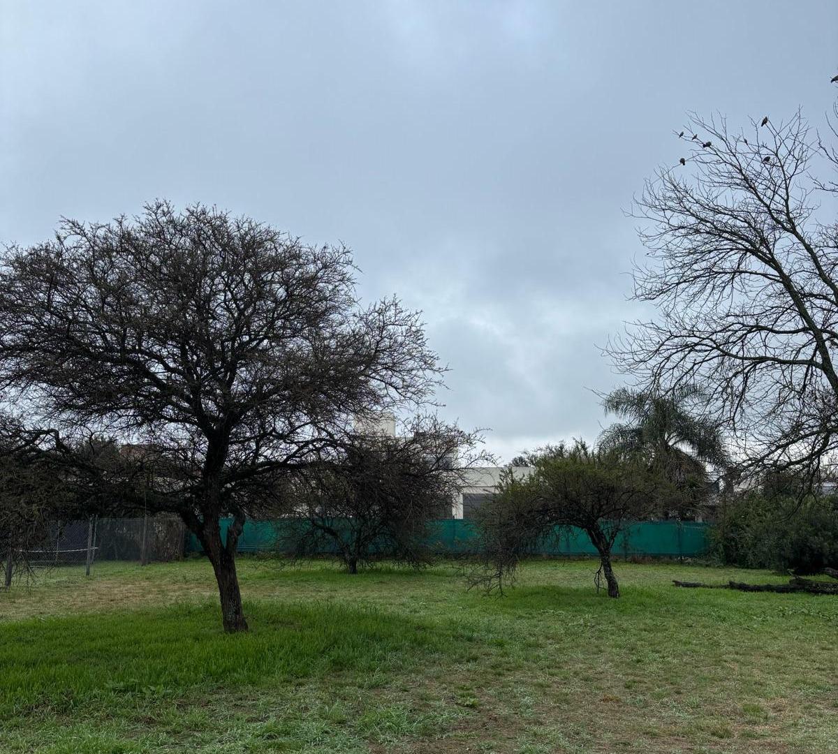Foto de Terreno en Villa Residencial Bela Vista, imagen 2