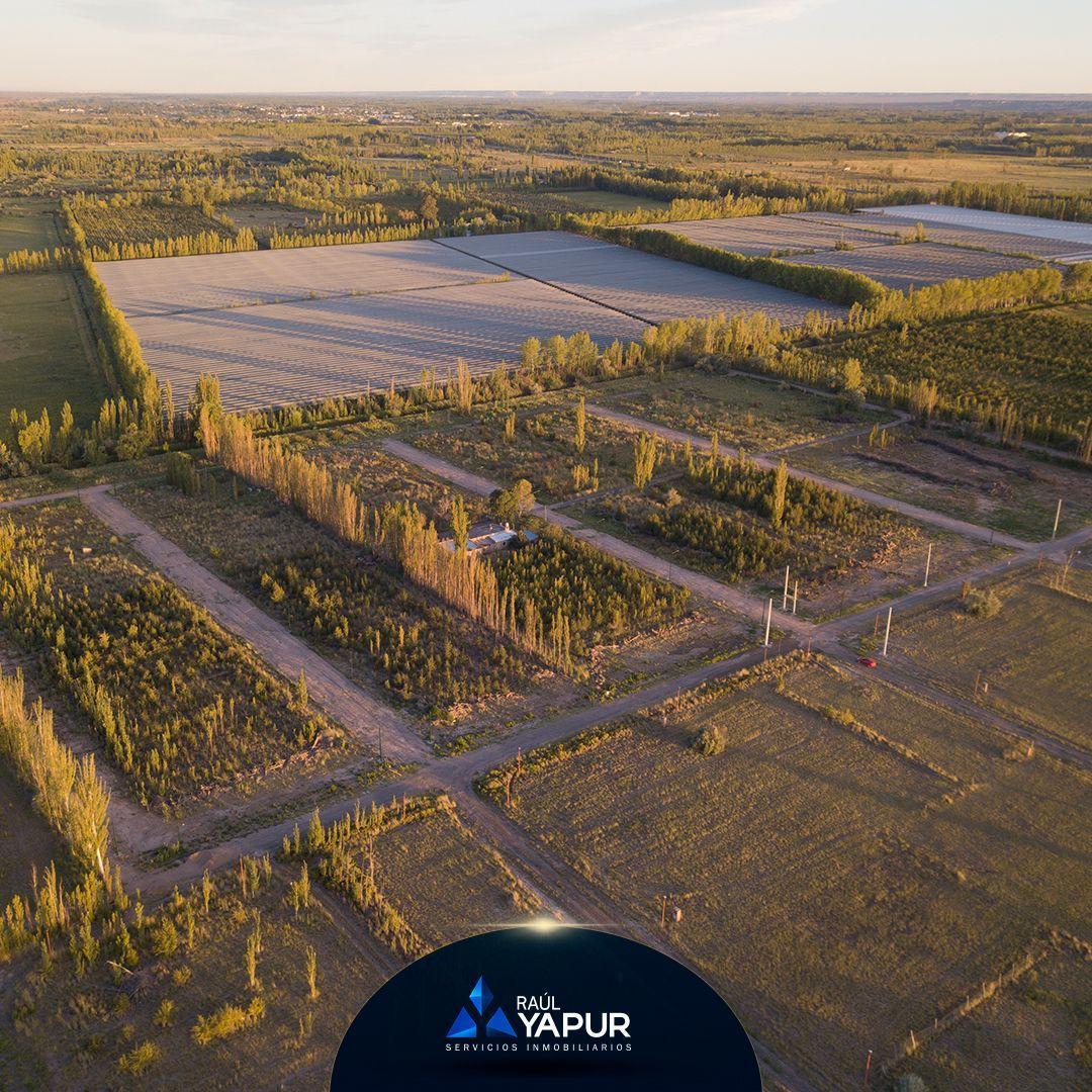Terrenos en Venta | Fernández Oro 5