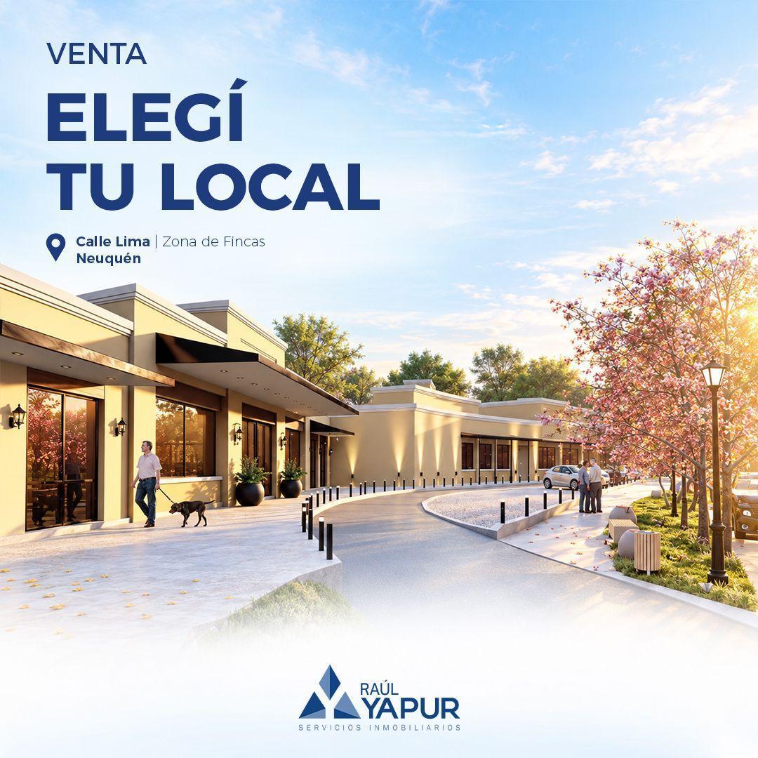 Foto de Locales comerciales en venta Paseo de Compras Intercountry , imagen 5