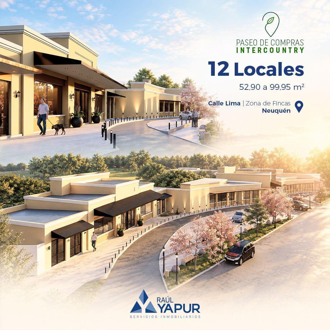 Foto de Locales comerciales en venta Paseo de Compras Intercountry , imagen 3