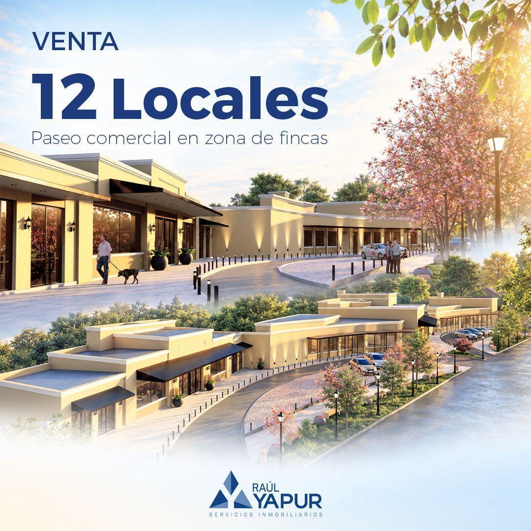 Foto de Locales comerciales en venta Paseo de Compras Intercountry , imagen 2