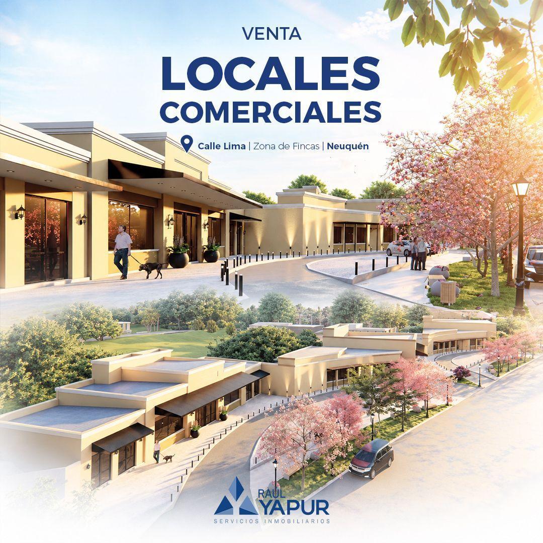 Foto de Locales comerciales en venta Paseo de Compras Intercountry , imagen 1