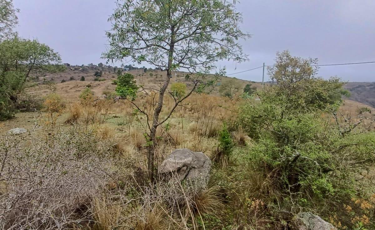 Inmobiliaria Vende Hermoso Lote con Escritura en Altos del Divisadero, Yacanto 2