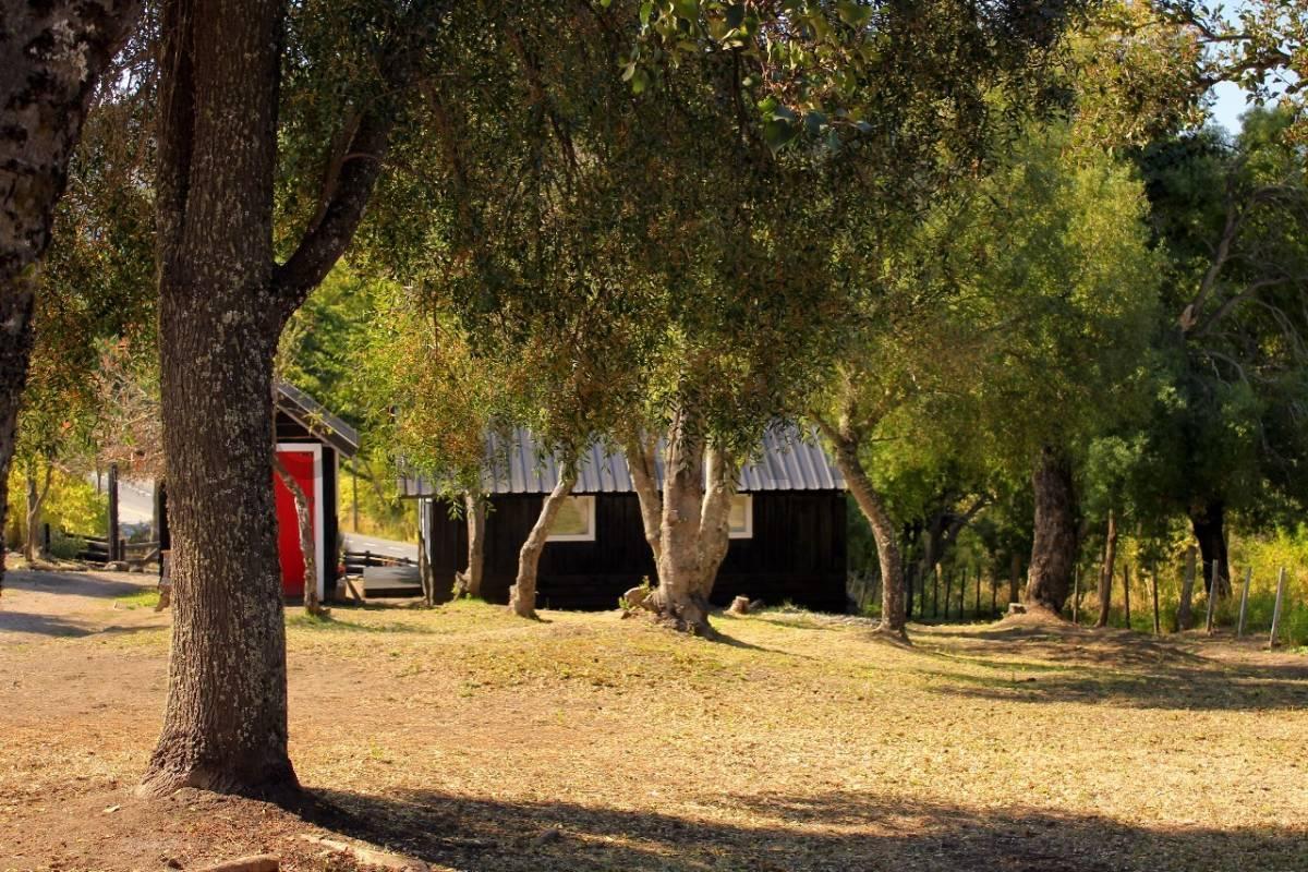 Dos Casas Venta San Martin de Los Andes. Apto Para 5 PH 5