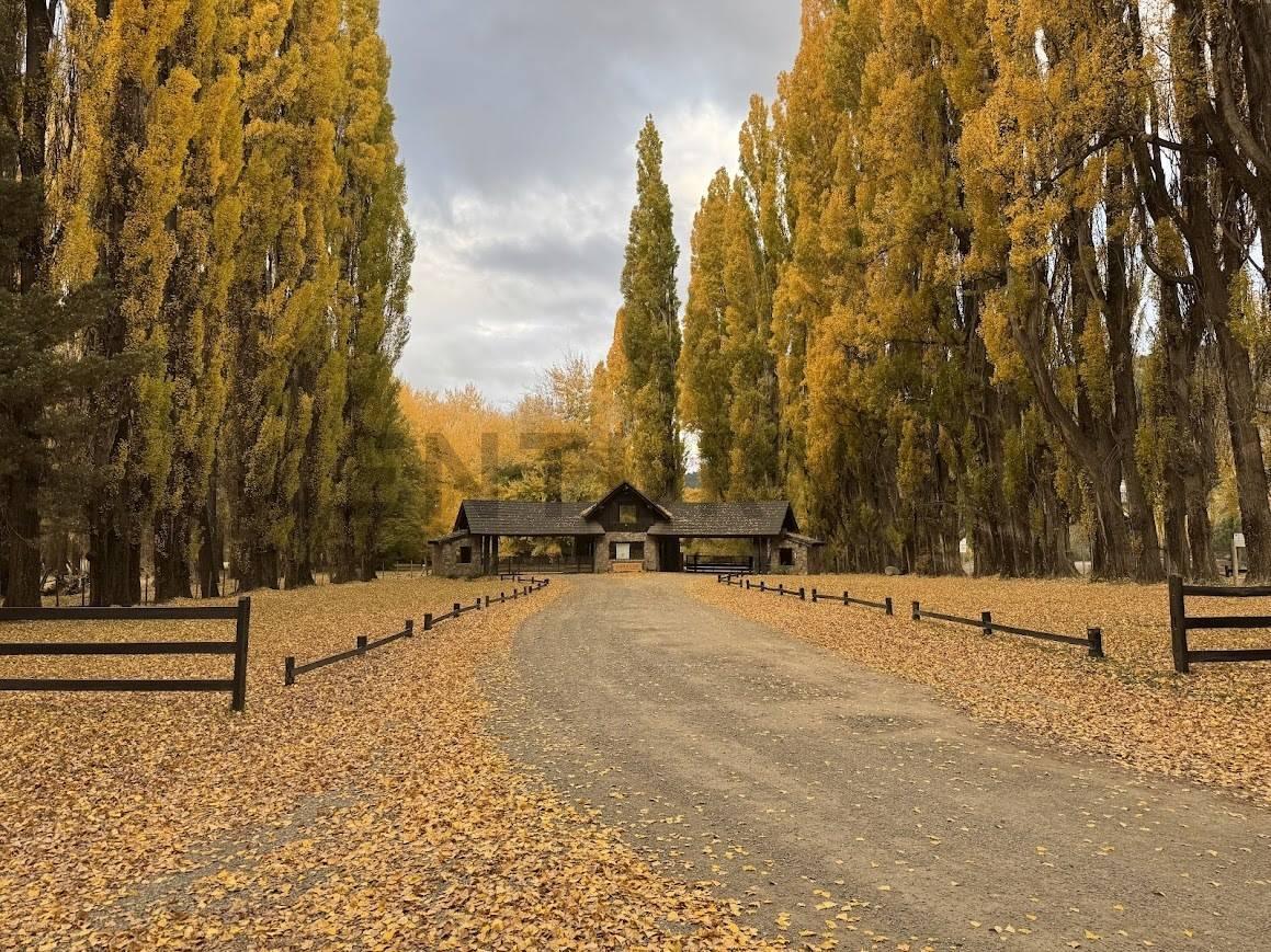 Venta - Casa - San Martin de Los Andes 3