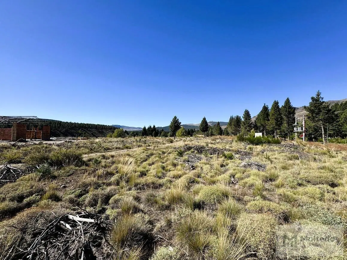 Terreno en San Martin De Los Andes 5