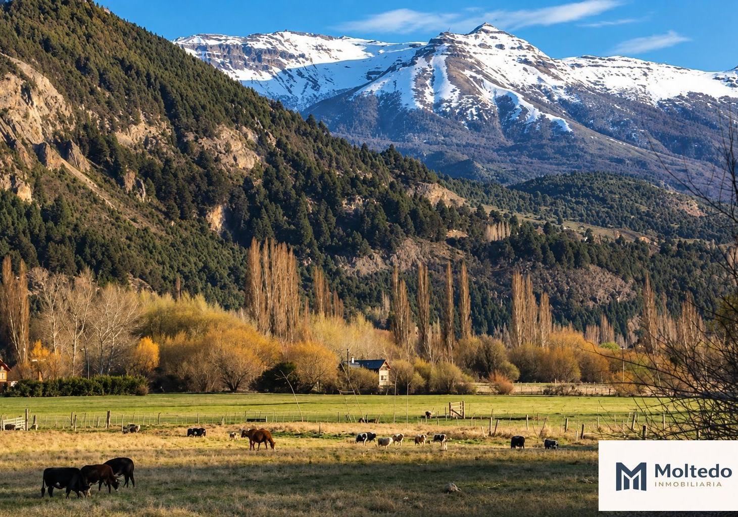 Foto de Terreno en venta en San Martin De Los Andes, en Callejón de Bello, imagen 4