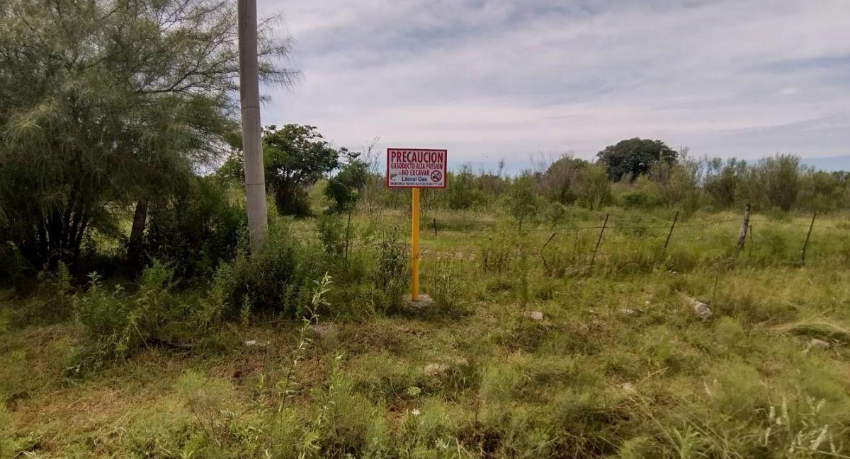 Foto de Campo 1.70 hectáreas | . | VELAZQUEZ, imagen 2