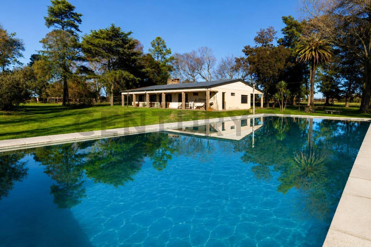 Foto de VENTA CAMPO, CON CASA, 4 DORMITORIOS, 2 BAÑOS, PISCINA, VILLA AMELIA, imagen 1