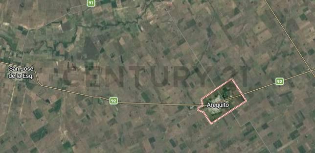 Venta - Campo Aptitud mixta - 160 ha - Arequito - Santa Fe.