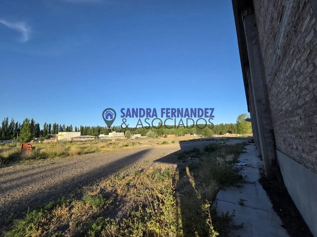 Neuquen Centenario Alquiler Predio de 6 hectareas con tinglado, galpon, casa y oficinas 3