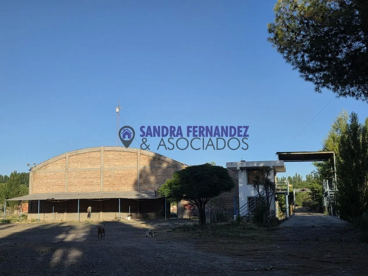 Neuquen Centenario Alquiler Predio de 6 hectareas con tinglado, galpon, casa y oficinas 4
