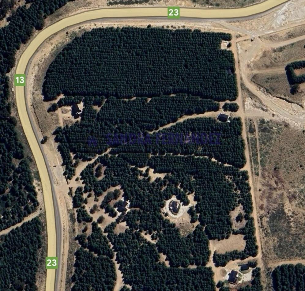 Foto de Neuquen. Venta. Villa Pehuenia. 2 Lotes en Altos de Pehuenia, imagen 3
