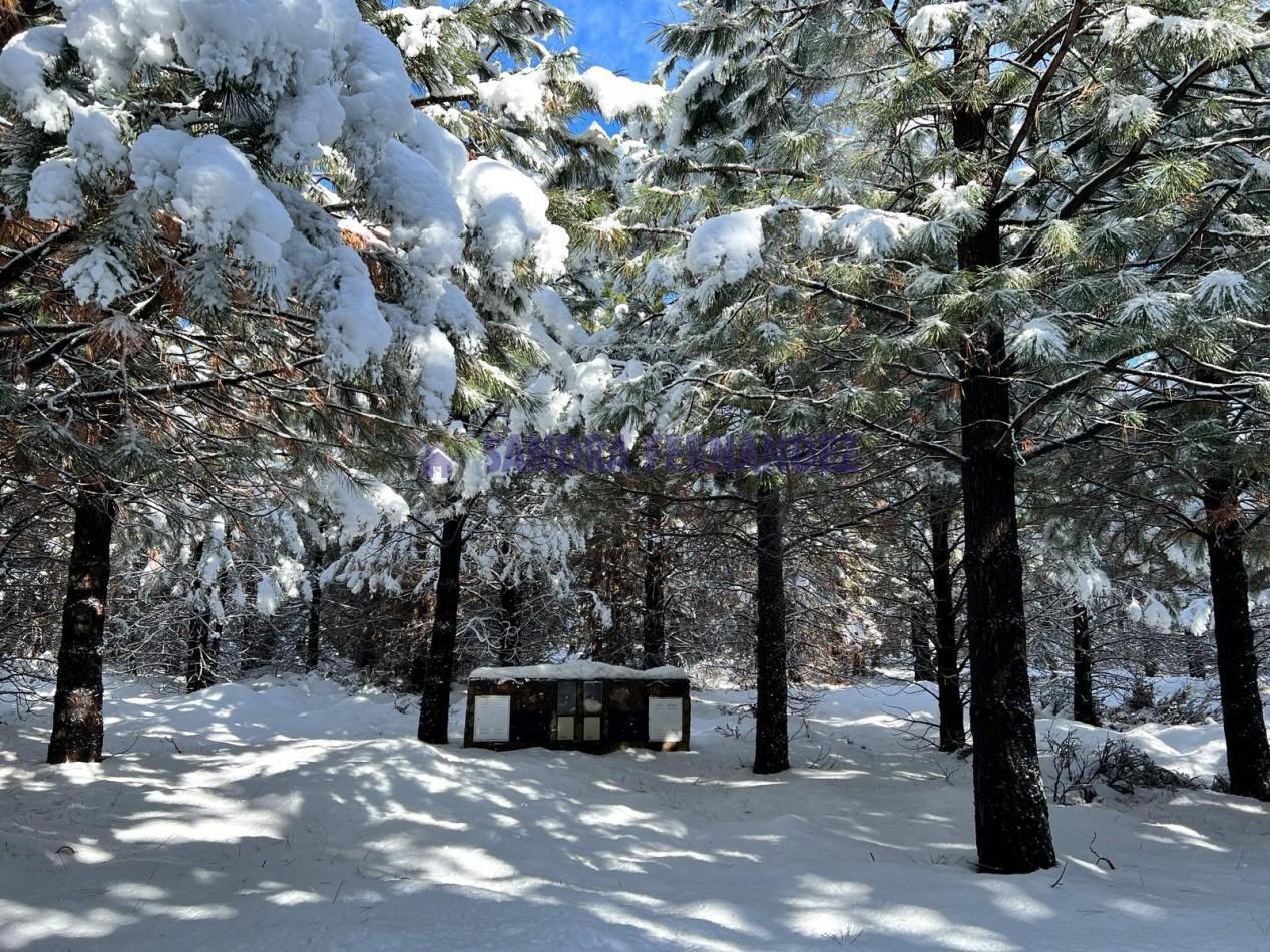 Foto de Neuquen. Venta. Villa Pehuenia. 2 Lotes en Altos de Pehuenia, imagen 5