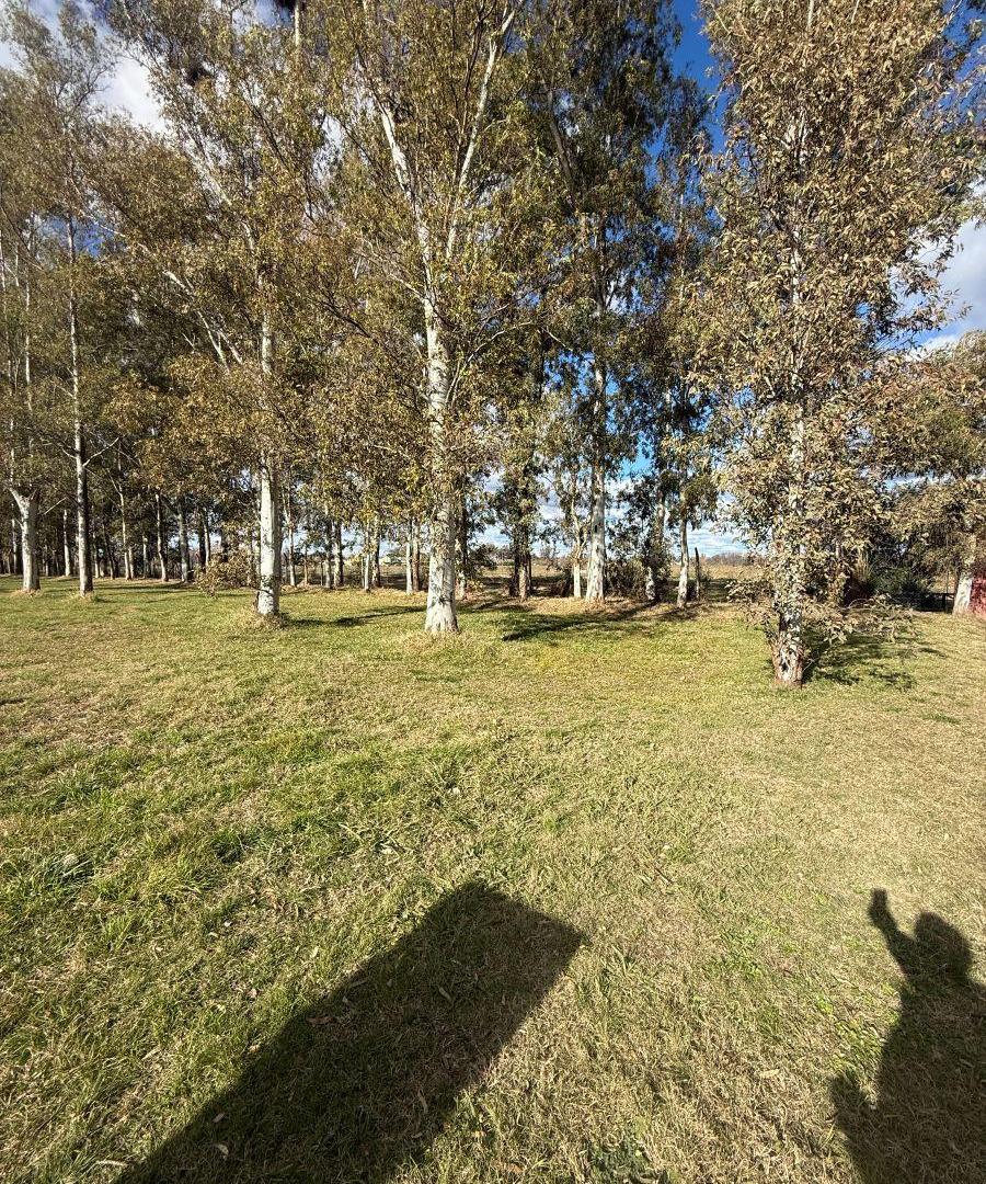 Foto de Lote en venta el Tropezón de Areco, imagen 2