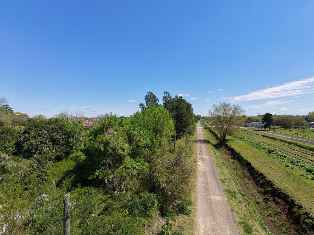 Foto de Lote en venta, 2477m2, Capitán Sarmiento, imagen 2