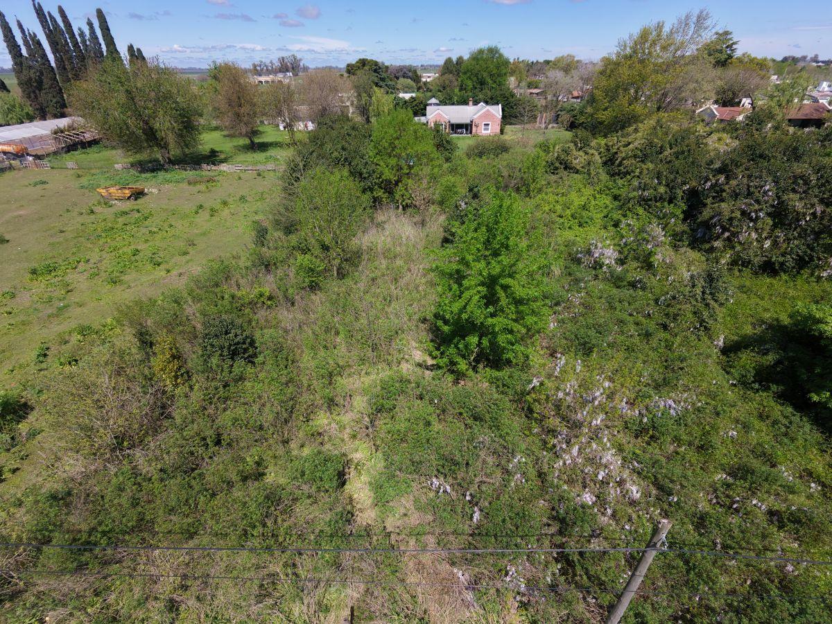 Foto de Lote en venta, 2477m2, Capitán Sarmiento, imagen 5