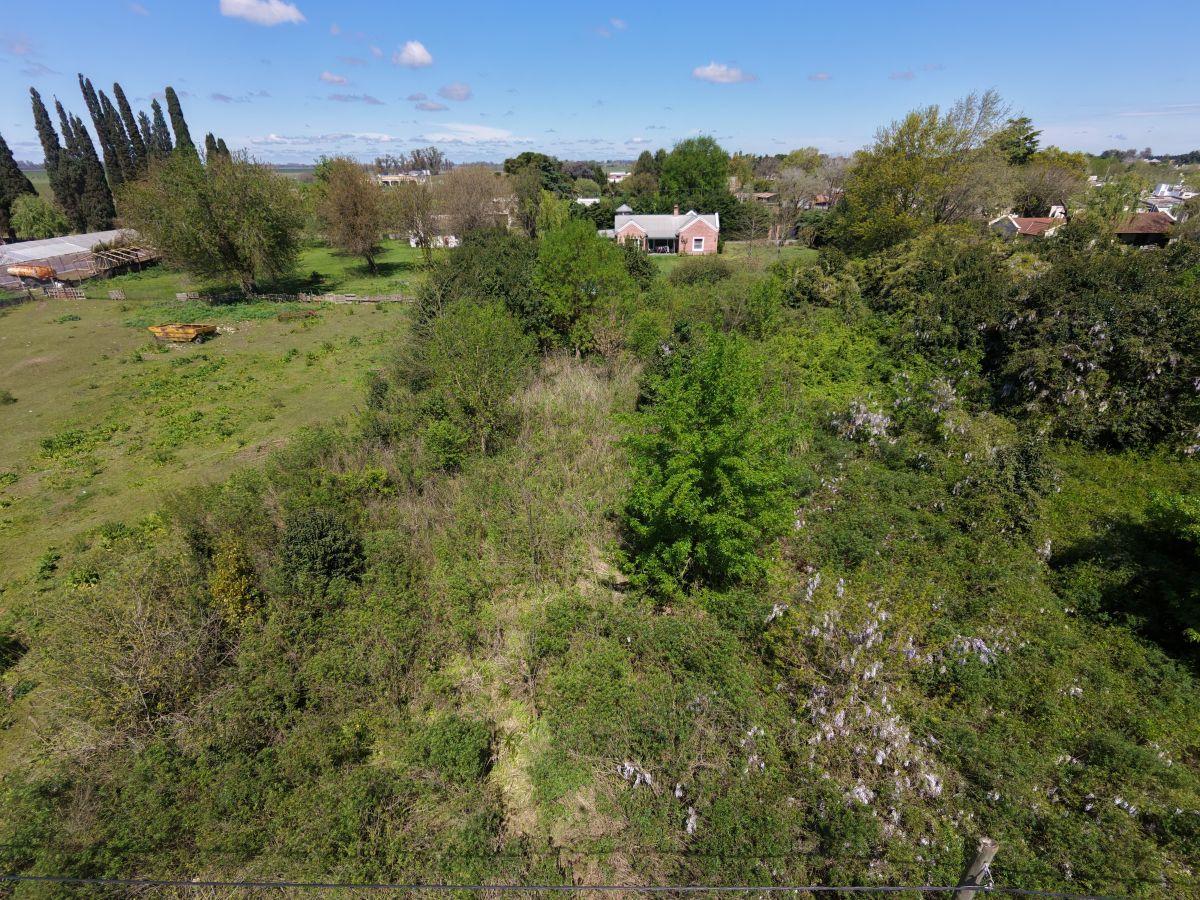 Foto de Lote en venta, 2477m2, Capitán Sarmiento, imagen 4