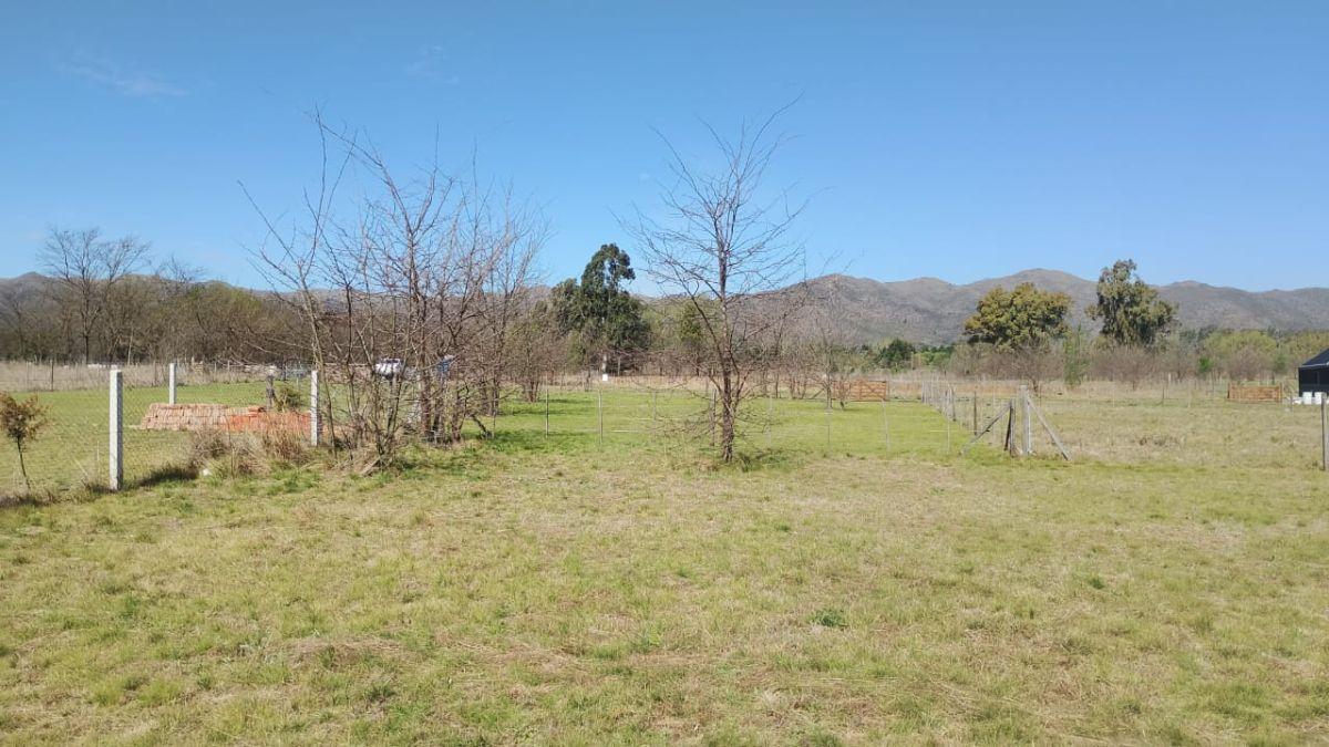 Foto de Terreno de 850 m² en venta en La Florida, imagen 3