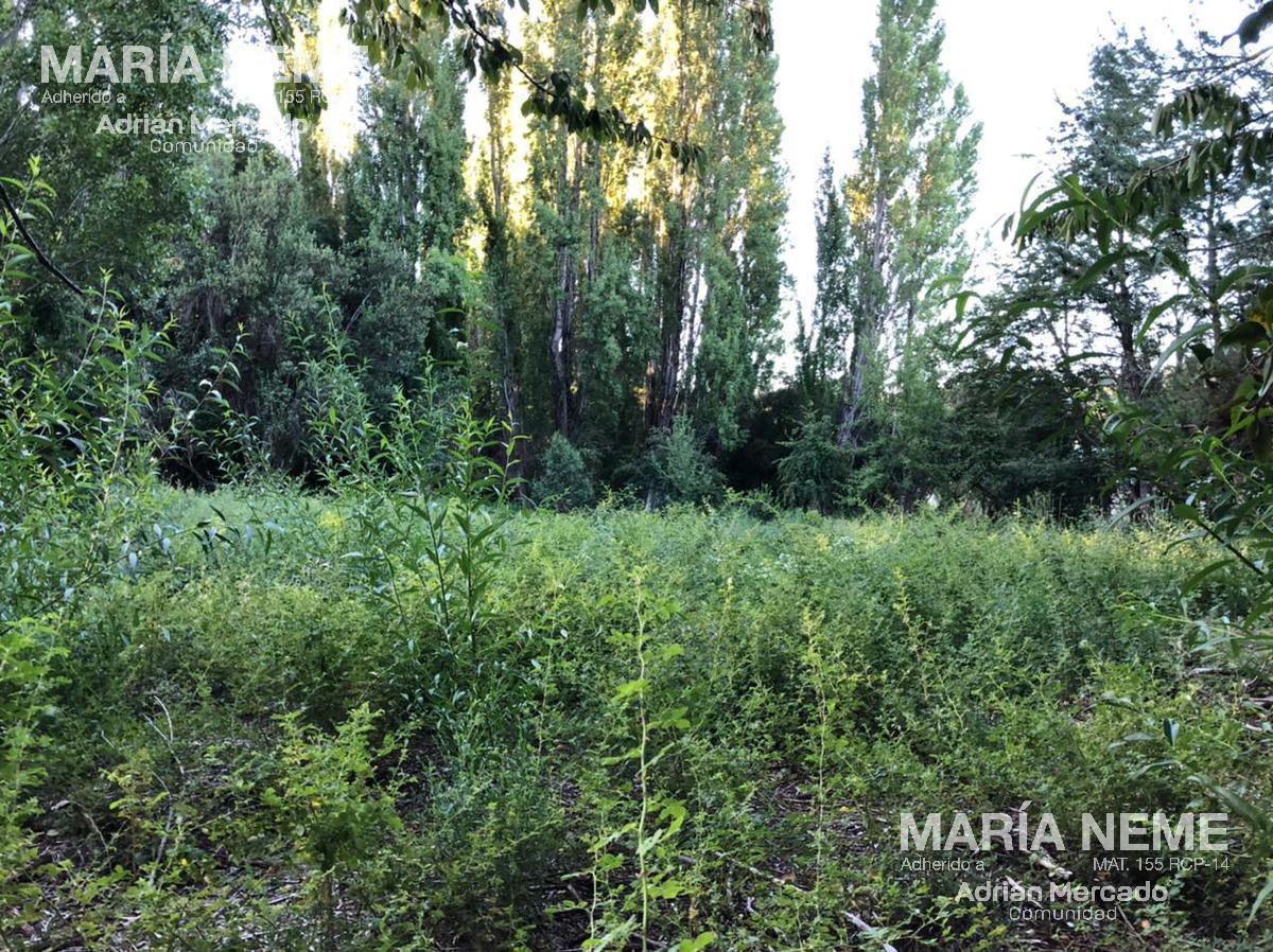 Única Fracción Costa de Lago Av Bustillo Km 18 Bariloche 5