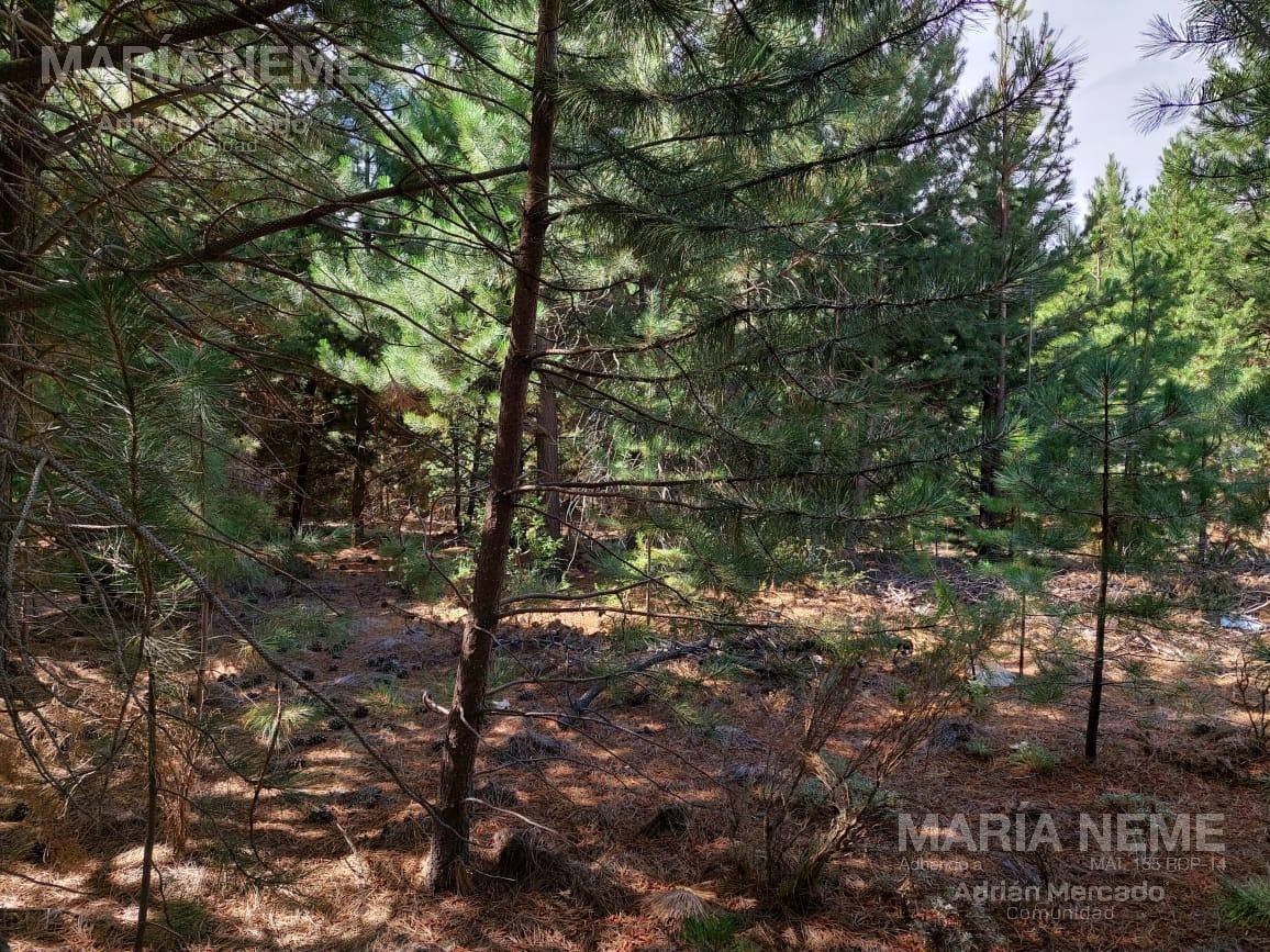 Terreno en venta en Club de Campo Dos Valles