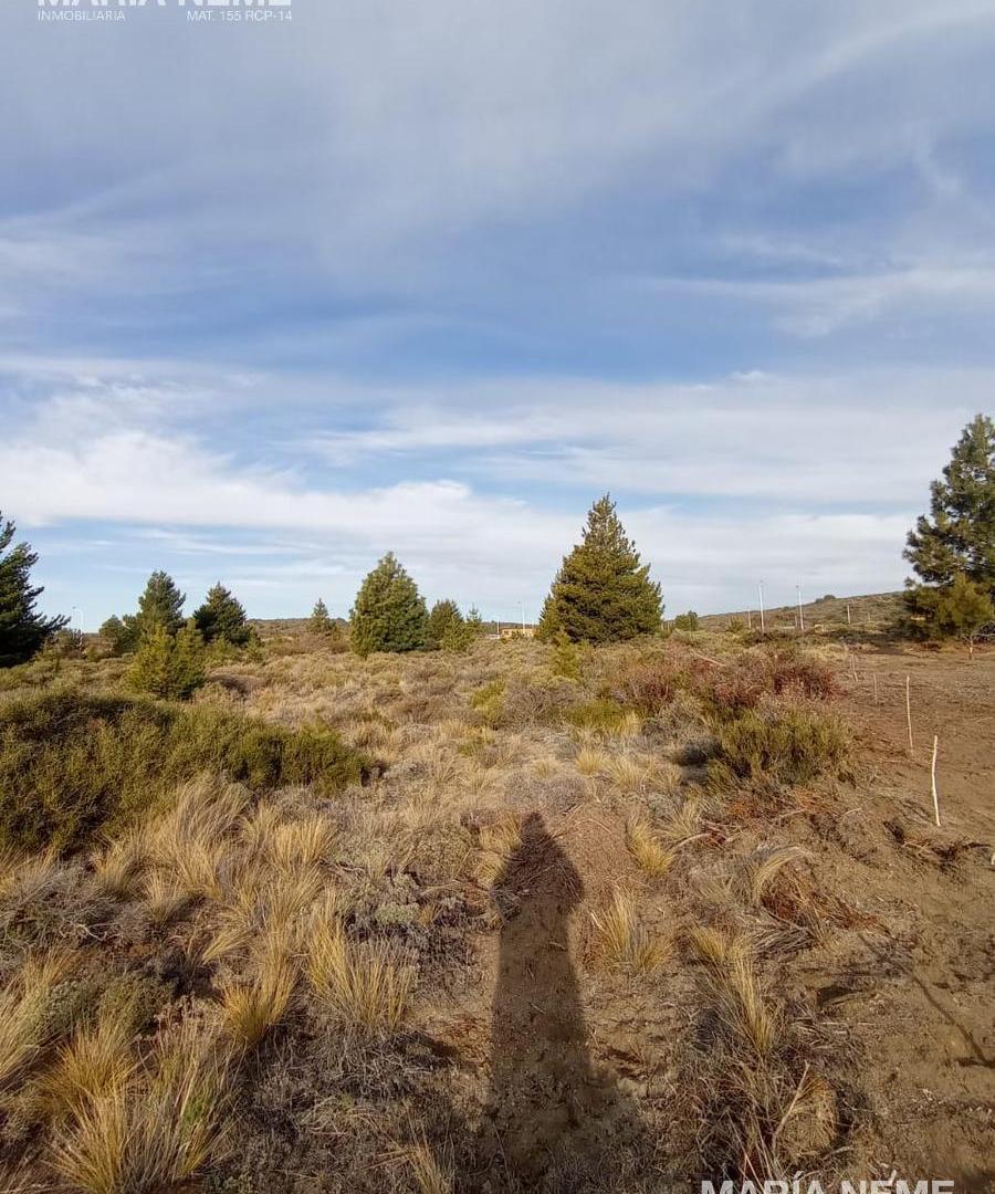 Terreno en Coirones