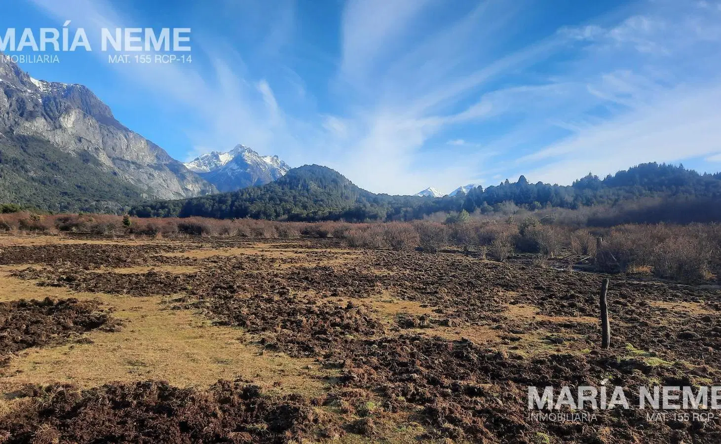 Campo en  venta - Colonia Suiza 4