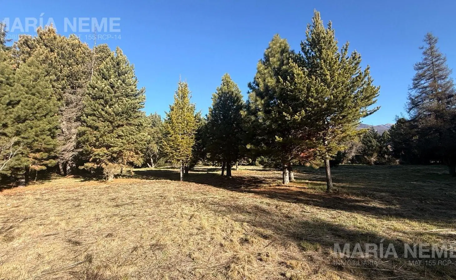 Terreno en venta 5.310 m2 5