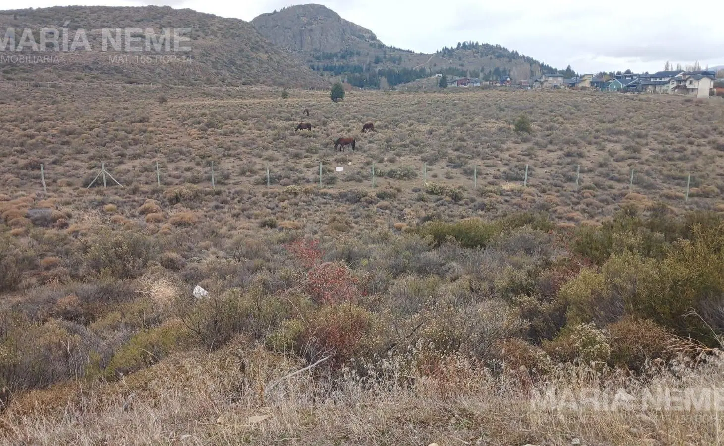 Terreno en Dina Huapi 3