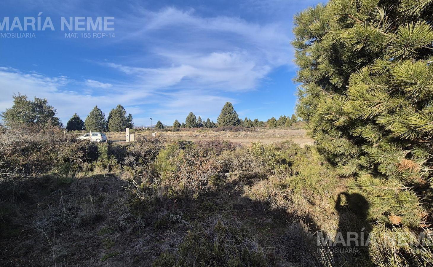 Foto de Terreno en San Carlos De Bariloche, imagen 5