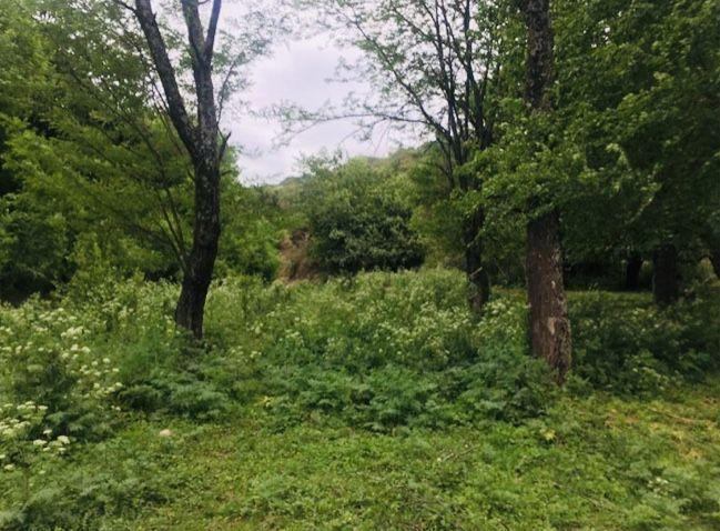 Unquillo, Espectacular Terreno! 1120 m² 5