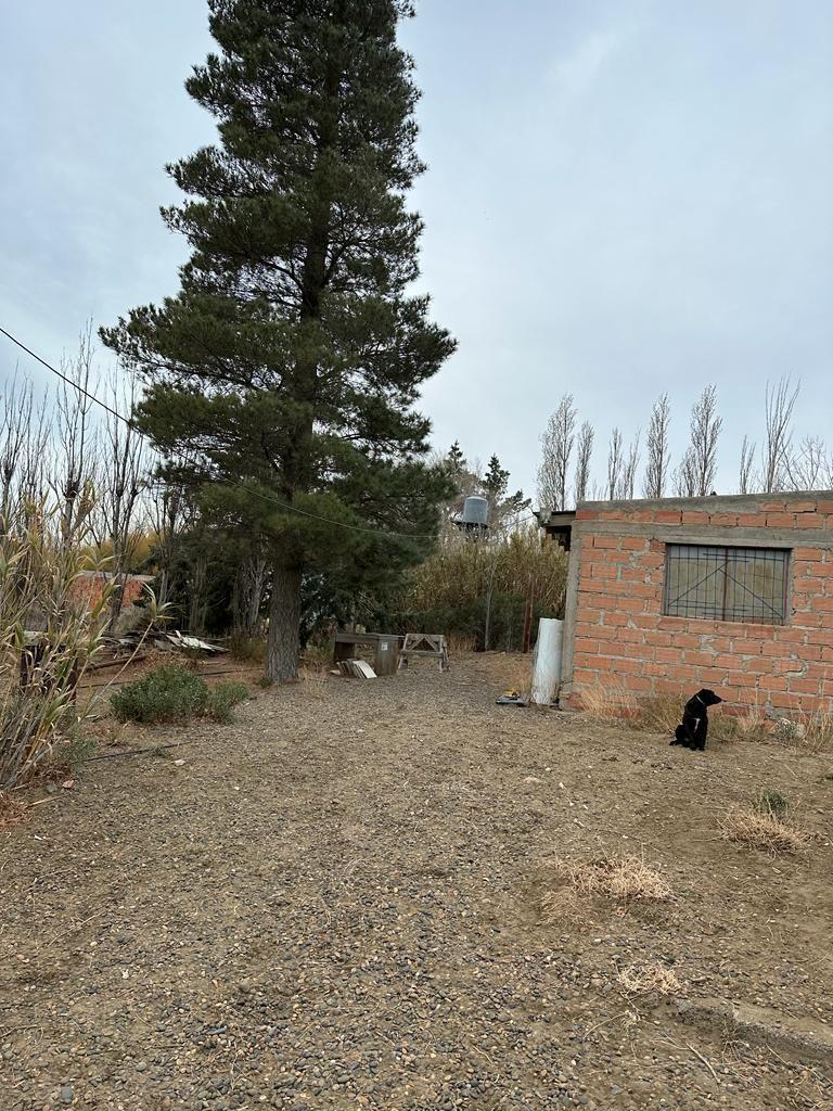 Venta Chacra 3600 m² y 2 Deptos y Quincho, Frutales, Caleta Ol 3
