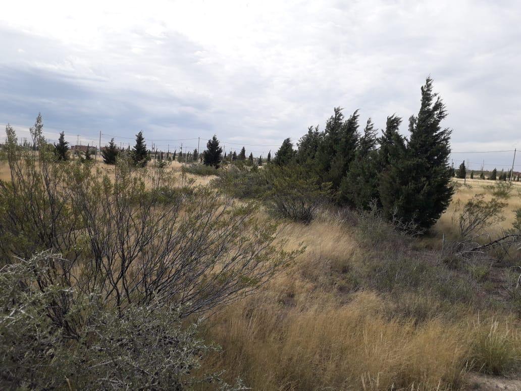 Oportunidad! Lote en Venta en Mapú Gnefú, Puerto Madryn 5