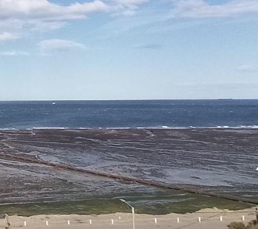 Foto de VENTA LOTE FRENTE AL MAR, ALTOS DEL GOLFO, CALETA OLIVIA, imagen 4