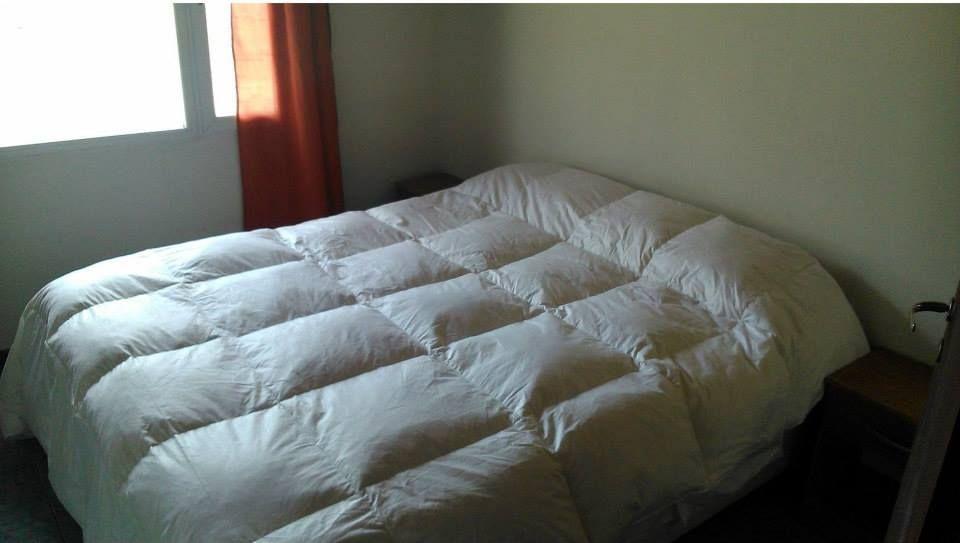 Foto de OPORTUNIDAD! VENTA APART HOTEL, 8 DEPTOS, EL CALAFATE, imagen 4