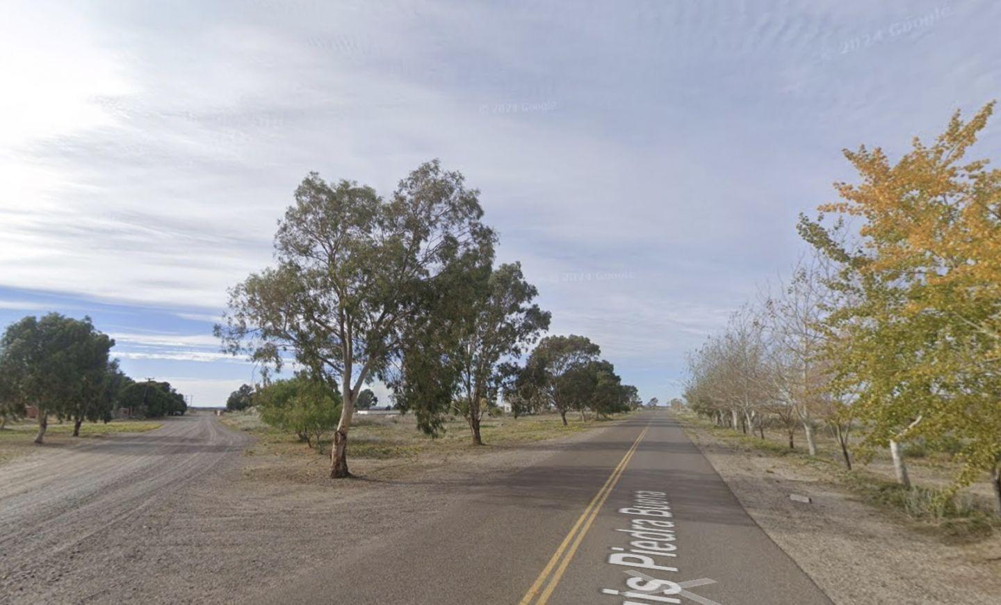 Foto de Venta extraordinario lote 11.000m2 en San Antonio Este, imagen 5