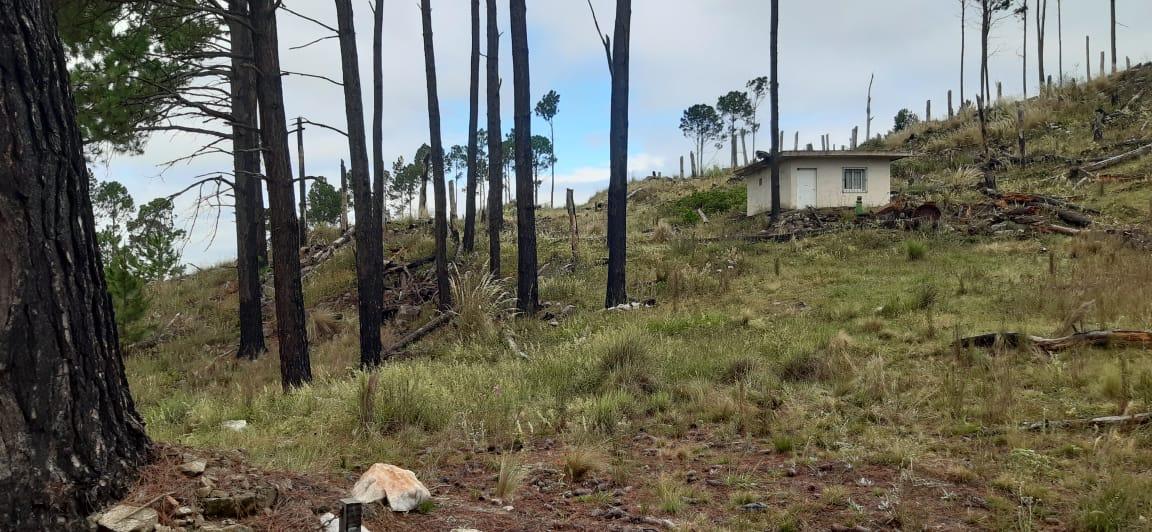 Predio Ideal Complejo de Cabañas en Villa Yacanto - Camino a Los Linderos 2