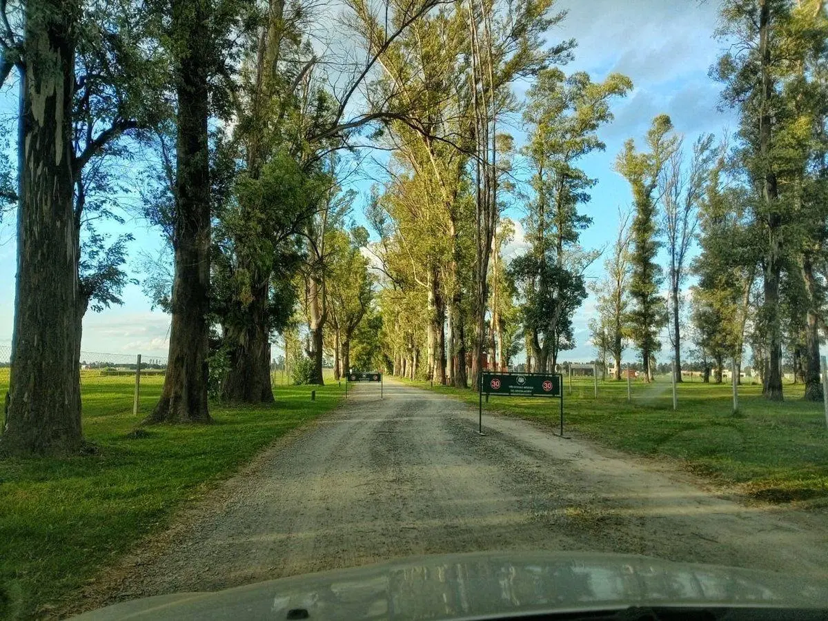 VENTA LOTE BARRIO LOS TRES PINOS GRAL RODRIGUEZ 3