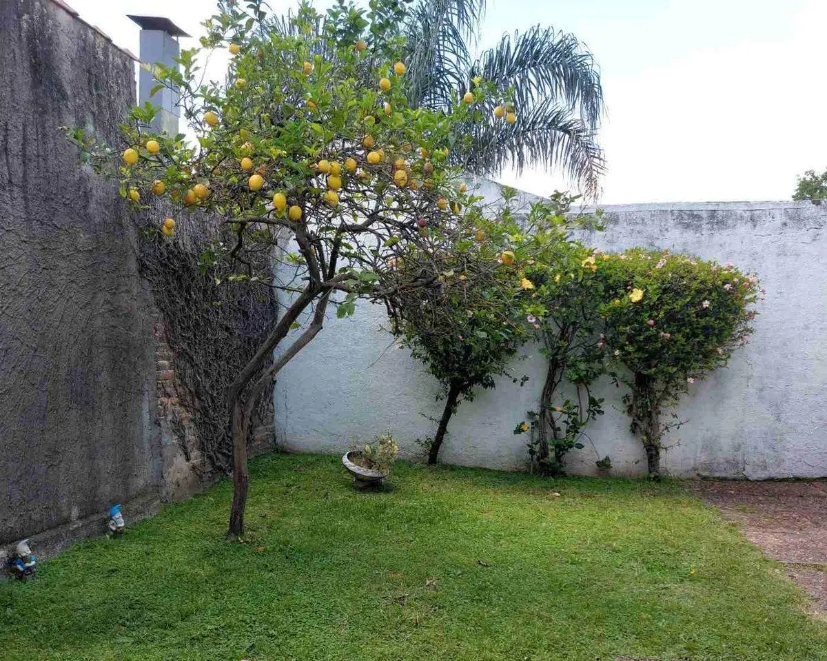 VENTA CASA 3 AMB MORON JARDIN  Y 2 COCHERAS 5