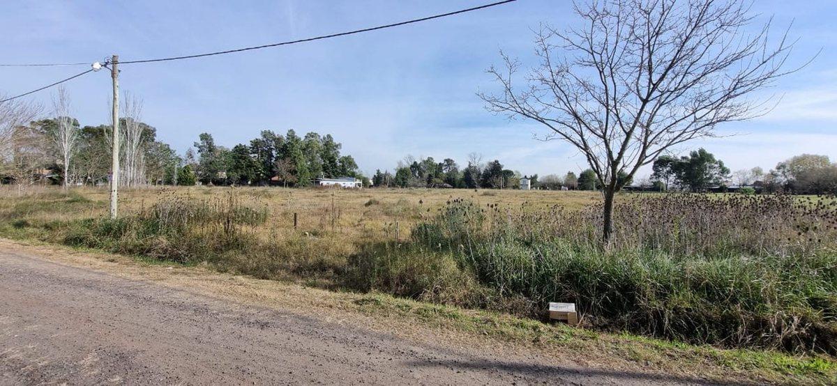 Foto de VENTA LOTES 2500m2 CON ESCRITURA EN GRAL LAS HERAS, imagen 3