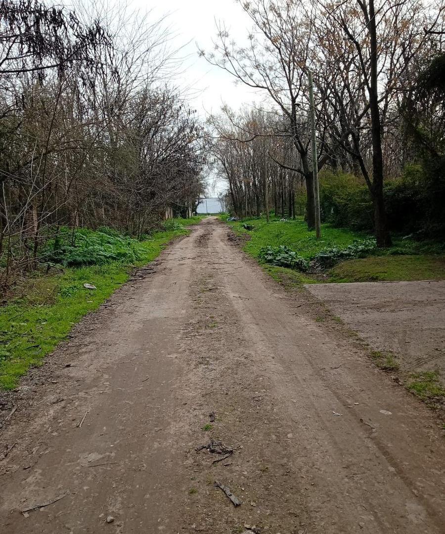 Foto de Terreno en Venta en zona semi industrial de 763 m2, imagen 1