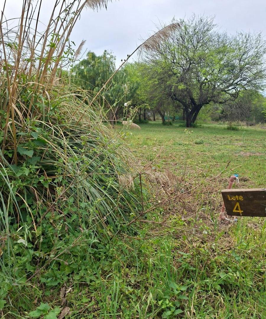 Foto de Terreno en Santiago Del Estero, imagen 4