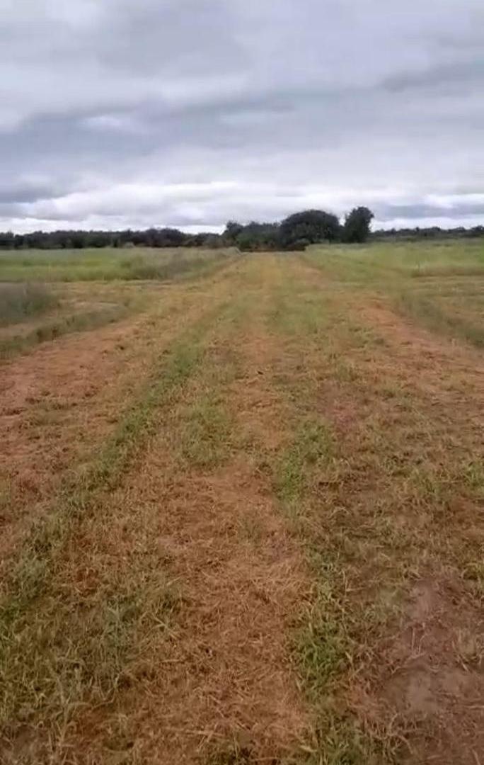 Foto de LOTES EN VENTA, AYRES DE VILMER, imagen 1