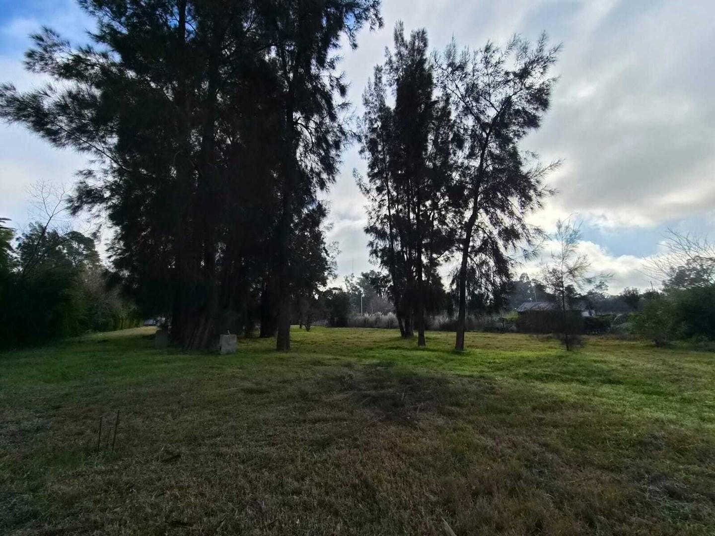 Foto de Terreno Lote en Venta en Benavidez, Tigre, G.B.A. Zona Norte, imagen 2